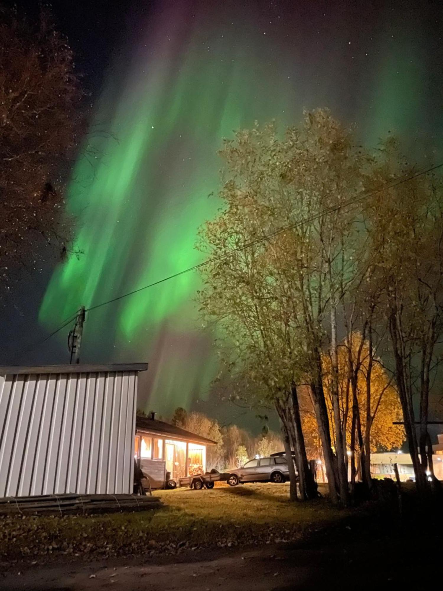 Sentral Og Romslig Leilighet Naert Senja Фінснес Екстер'єр фото