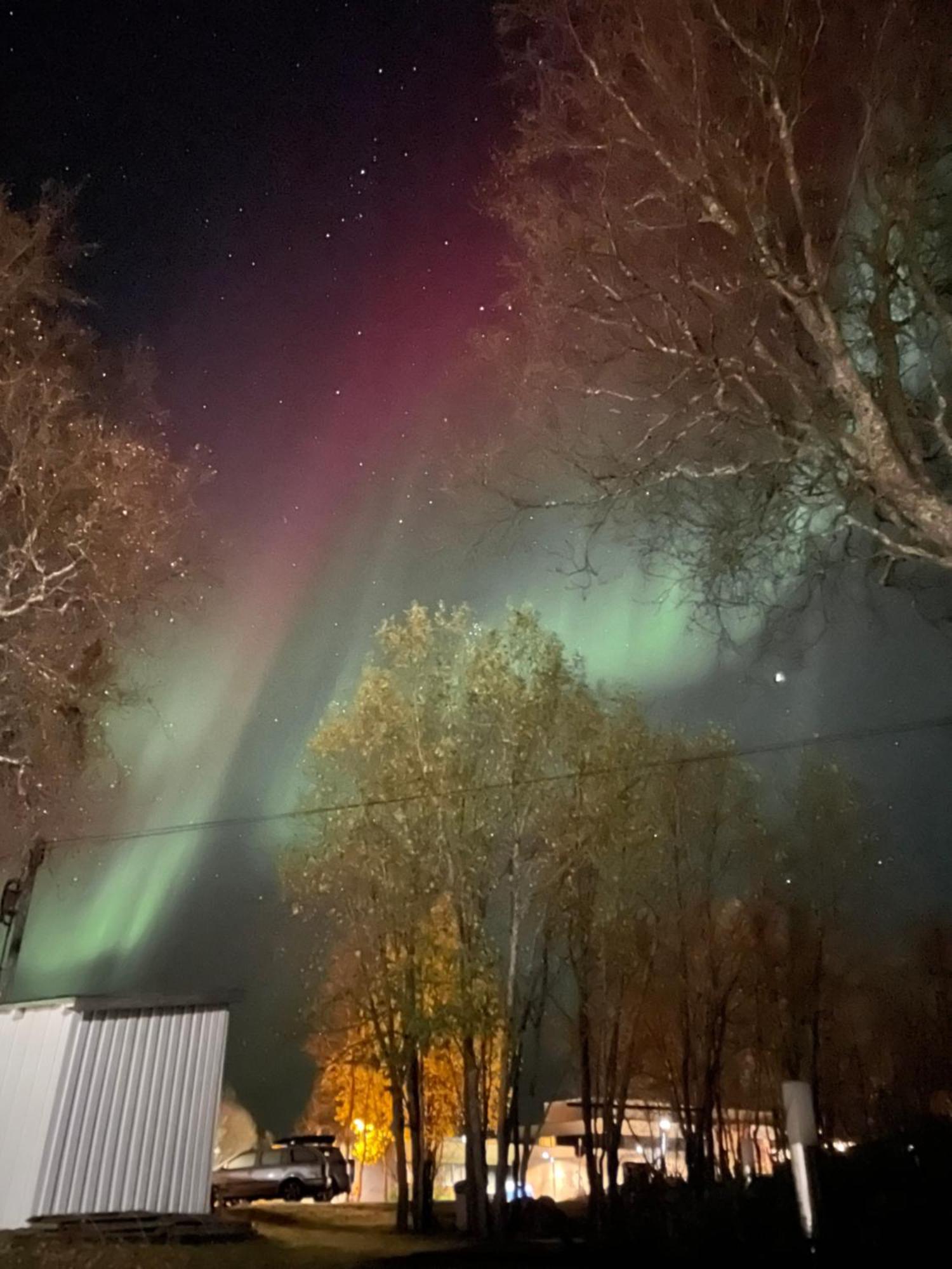 Sentral Og Romslig Leilighet Naert Senja Фінснес Екстер'єр фото